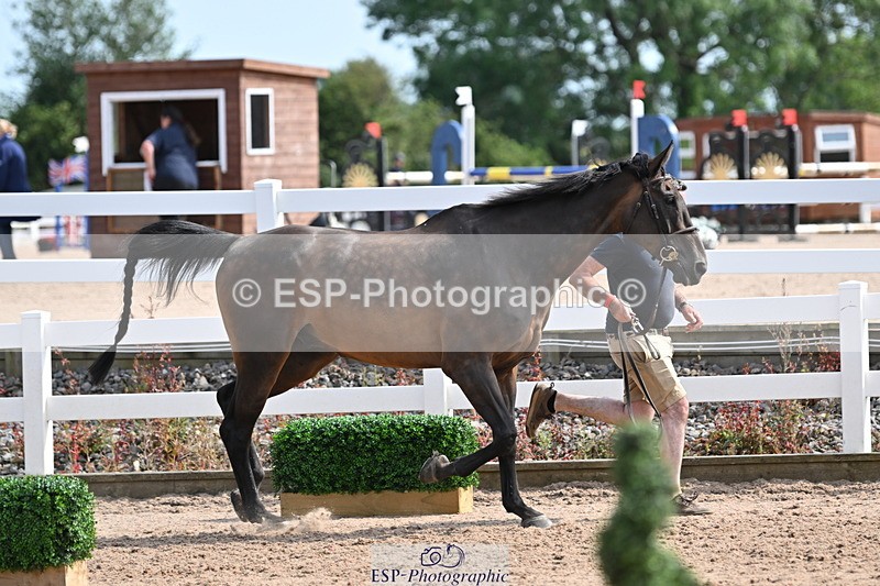 240717A-161130-03339 - Trot Up 4pm to 5pm