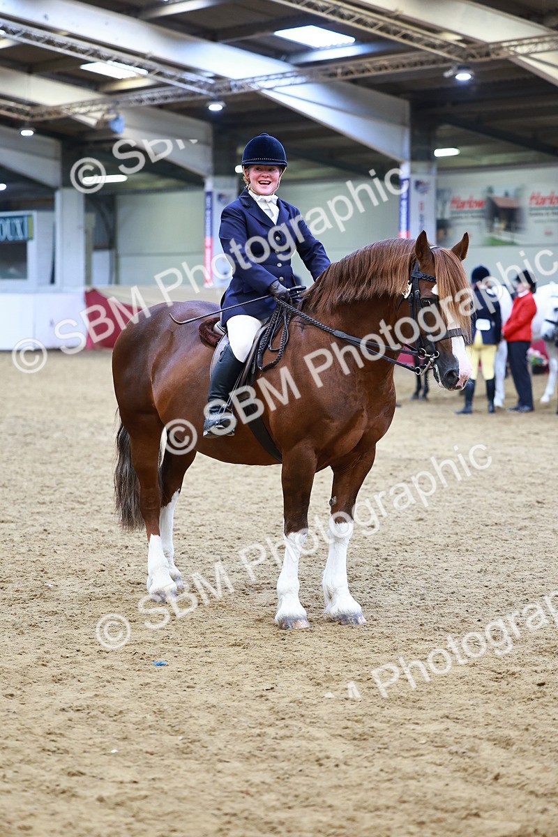 SBM_23406 - class 906 - Supreme Final - Ridden Pre Vet