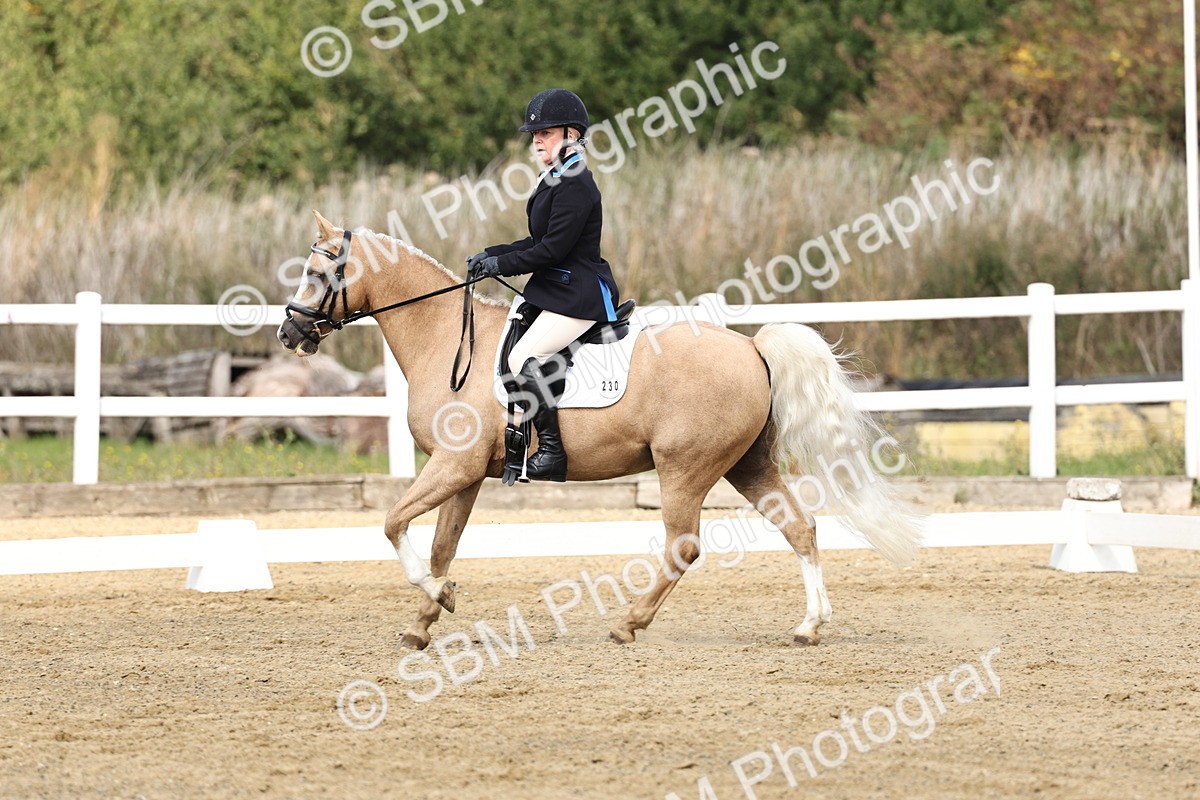 SBM_018211 - Class 16 - Novice 5 - 11.12-12.01