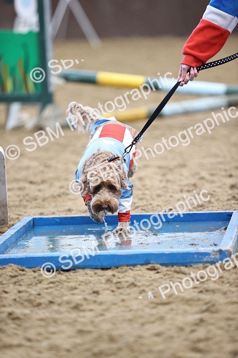SBM_001613 - Class 3 - Horse & Hound 60cm