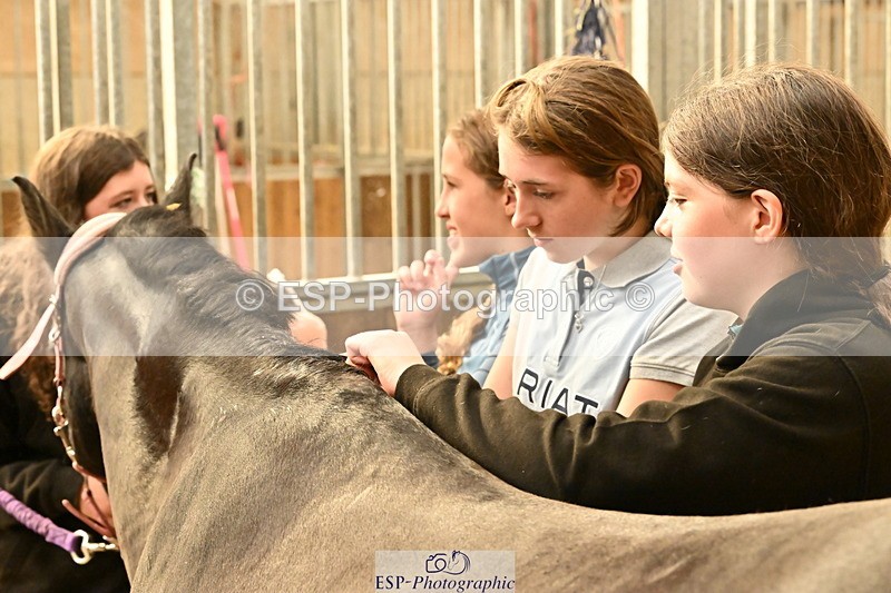 250821B-162552-00512 - Stable Shots and Group Photo