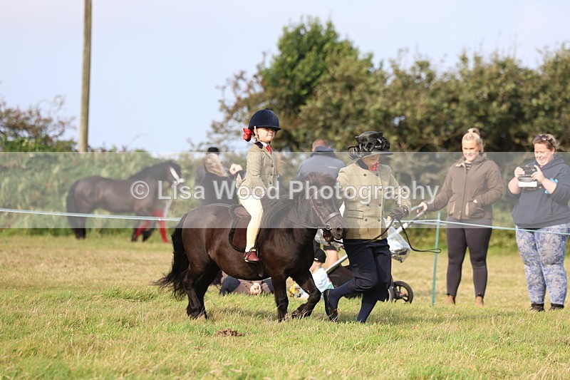 3E7A3678 - Class 2: Lead rein