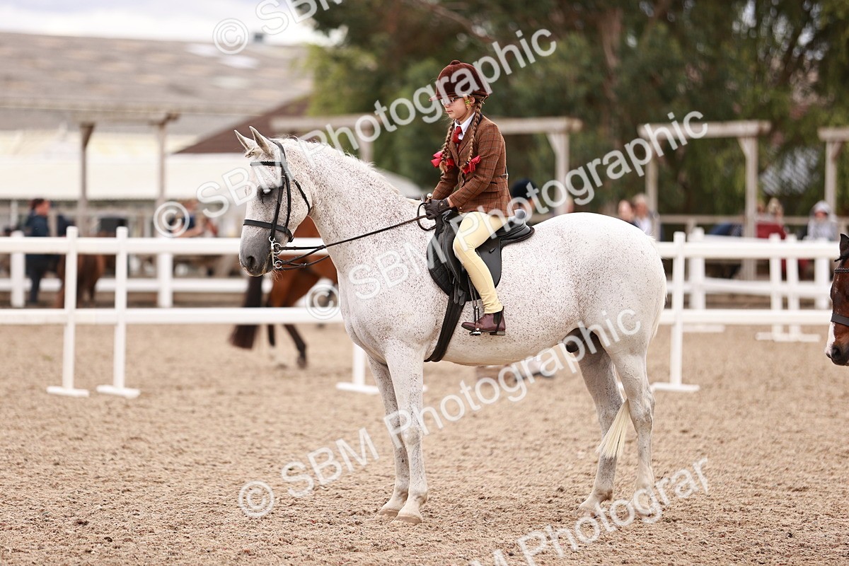 SBM_18576 - Class 421 - Childs Best Friend - Jnr