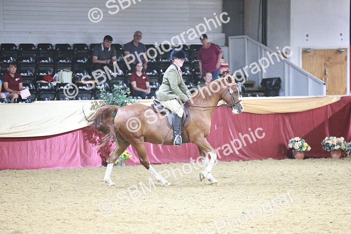 SBM_08138 - Class 11R - Regional Ridden Veteran