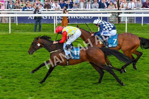 290723-Race 5-Baez-0845 - Race 5 4.35pm Sky Bet Prize Drop Handicap