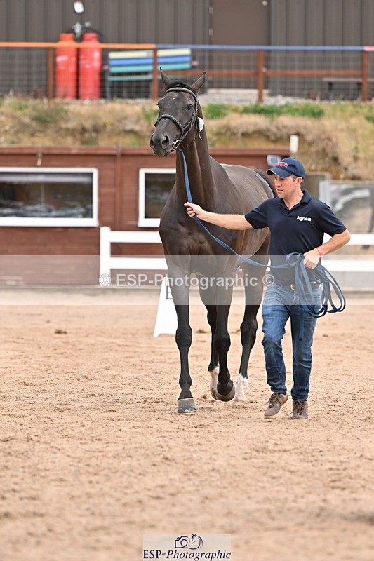 250716-152552-01937 - Trot Up 2.30 to 3.30