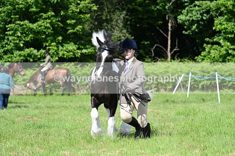 WJ7_1179 - Class 11 Condition & Turnout
