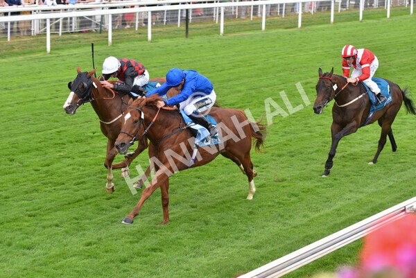 yr22072022r2-37 - Race 2 5.50pm eventmasters.co.uk Stakes