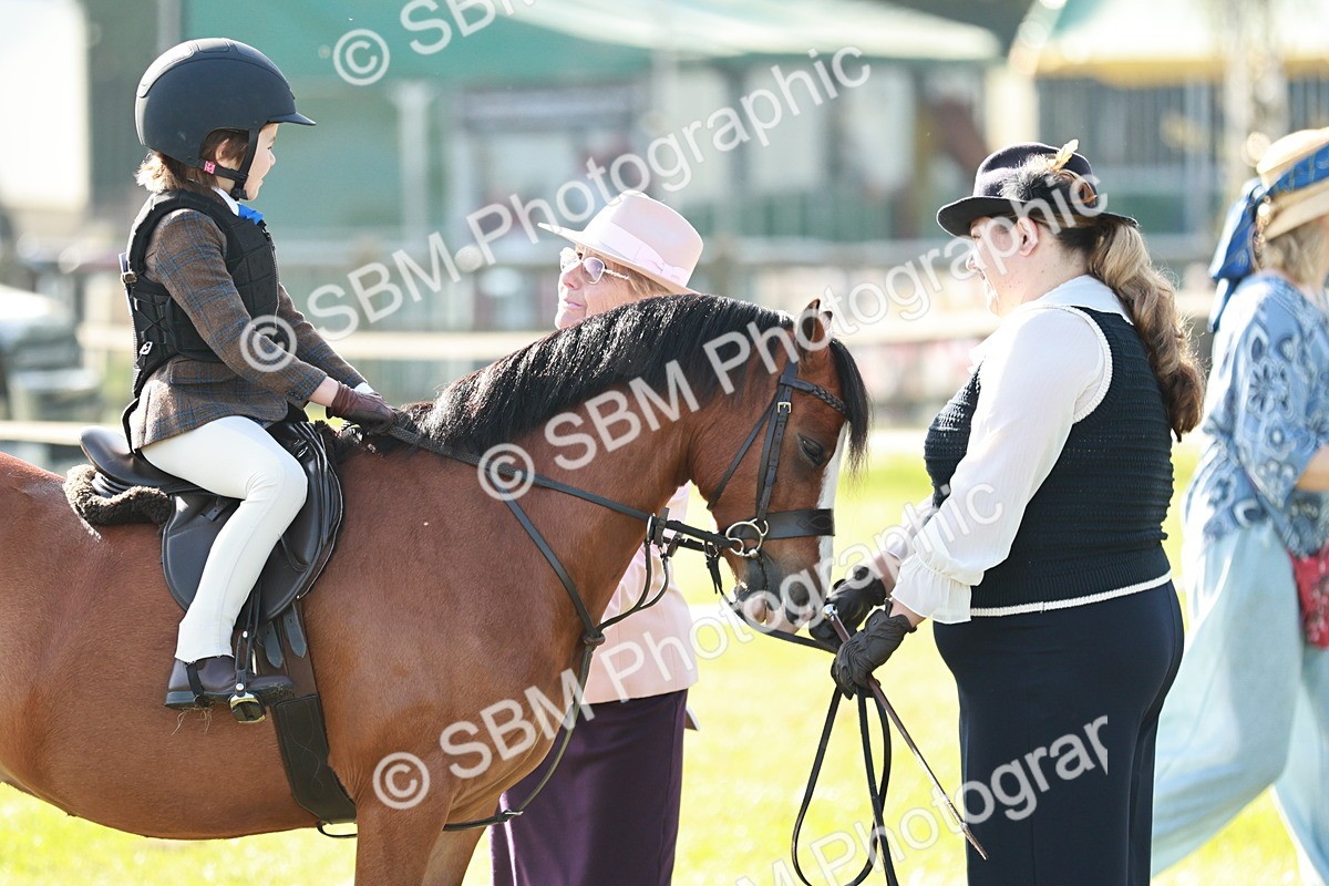 SBM_11139 - Class 106-107 - BSPS LIHS Working Sports Pony