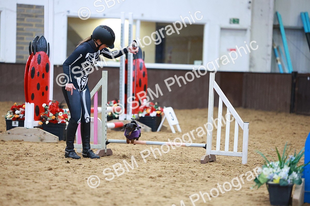 SBM_001605 - Class 3 - Horse & Hound (60cm)