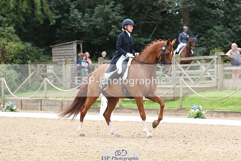 240810-133418-03343 - 188-Amanda.Towle.Shaw-Rockwood.Virtue