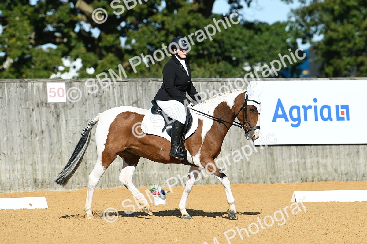 SBM_17907 - D4 - Small Tour Championship - Intro B
