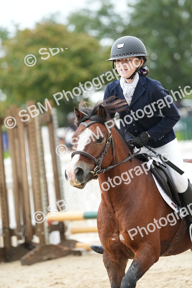 SBM_33457 - J5 - Junior Pony 50cm Championship