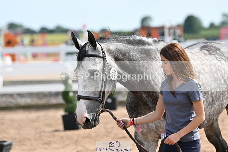 240717A-160924-03327 - Trot Up 4pm to 5pm