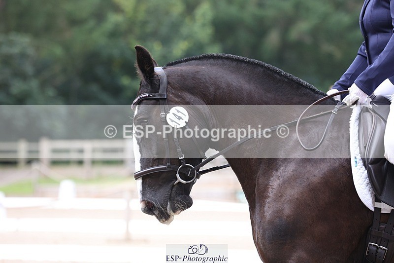 230812-112035-03743 - Cls 5 Novice Bronze 11.15 to 12.50 break