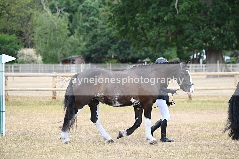WJ6_7846 - Class 10 Coloured in Hand
