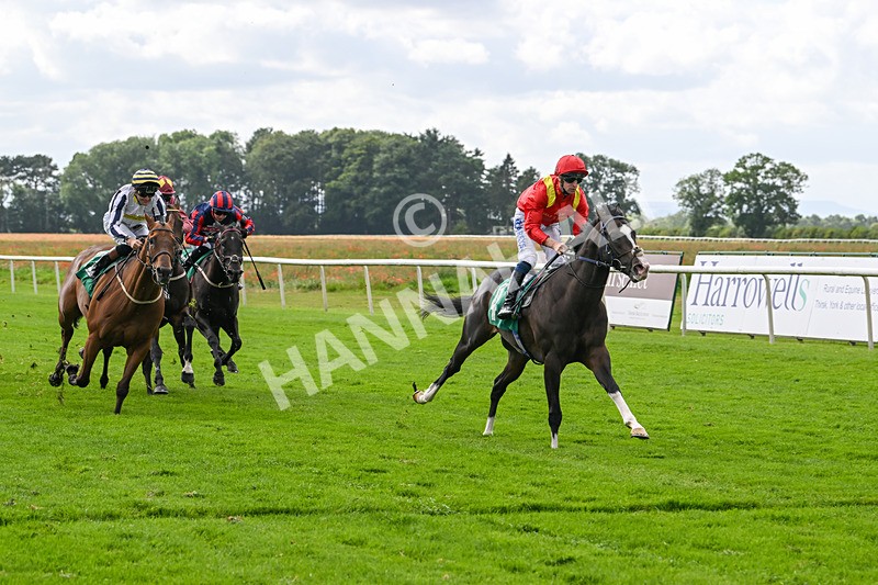 090824-Race 4-Law Of Average-4682 - Race 4