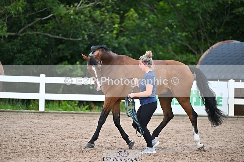 240718A-105325-01980 - Trot Up 2pm to 3pm - This folder is not in time order