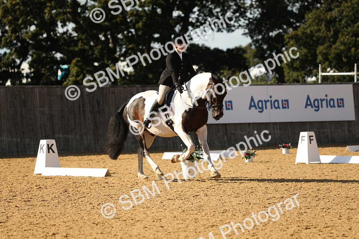 SBM_26832 - D17 - Grand Tour Championship - Novice 27