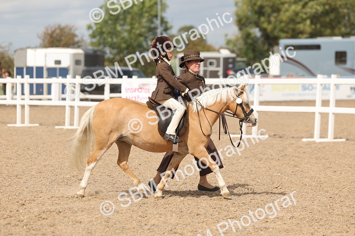 SBM_15856 - Class 309 - Lead Rein Pony
