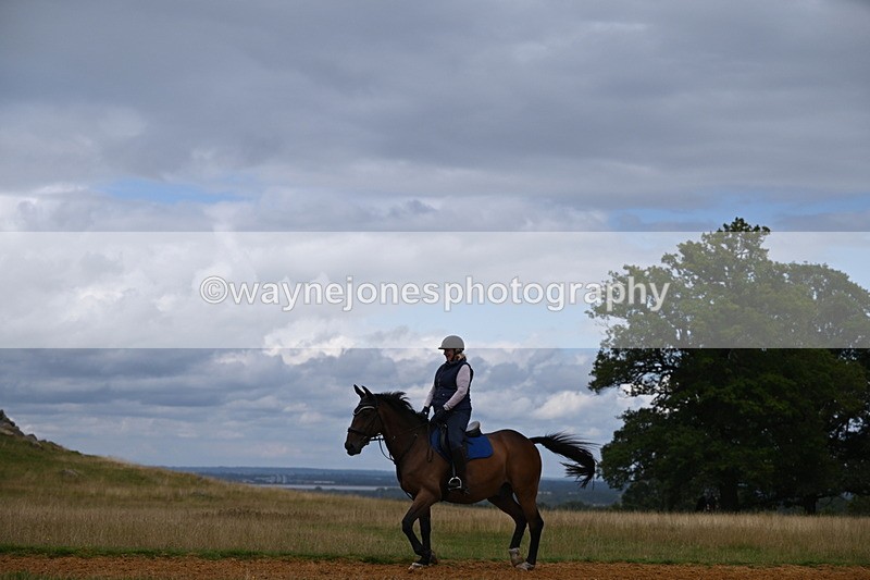 DSC_9116 - Time at Statue 14:33 to 15:10