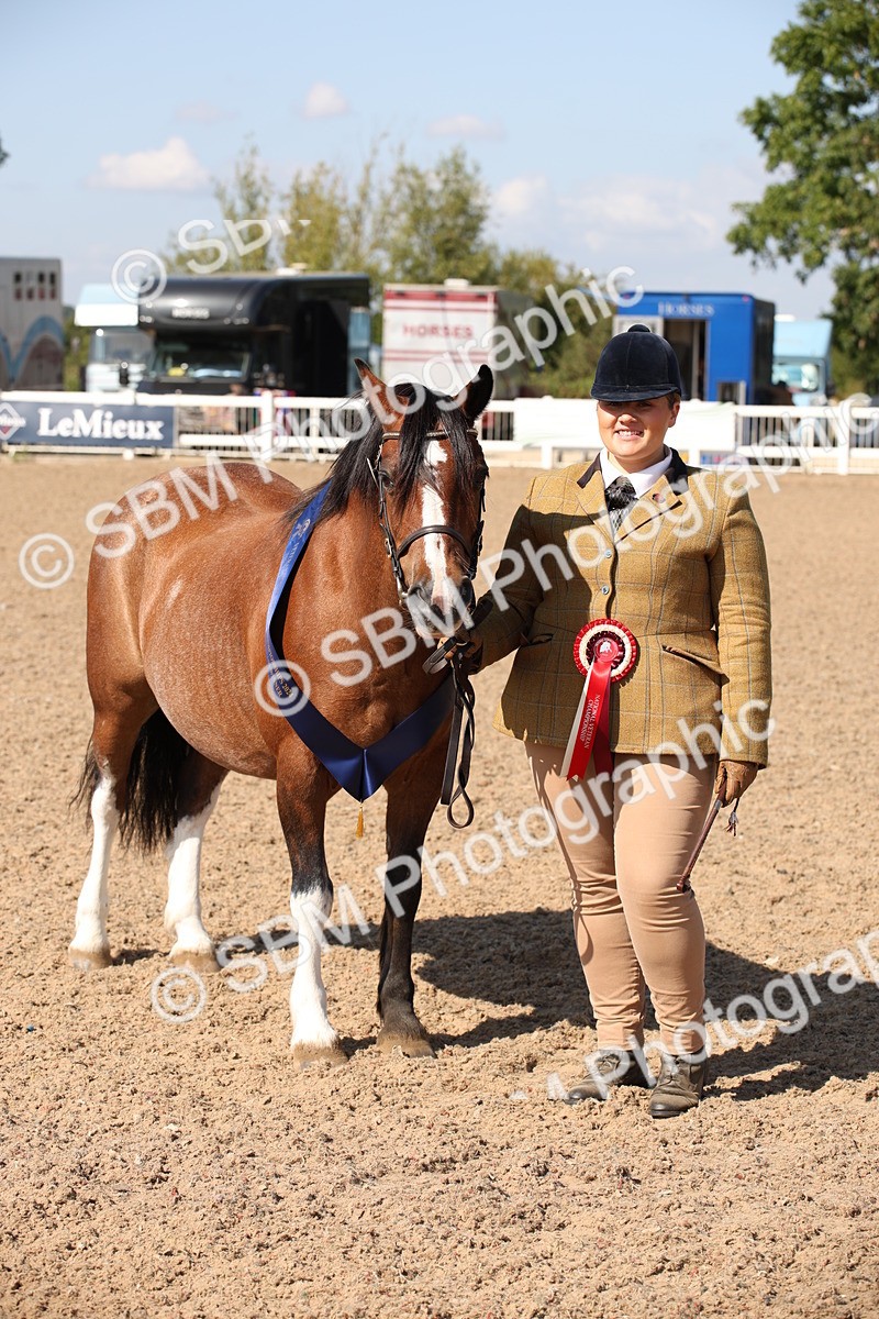 SBM_02822 - Class 16 IH M&M Wildcard