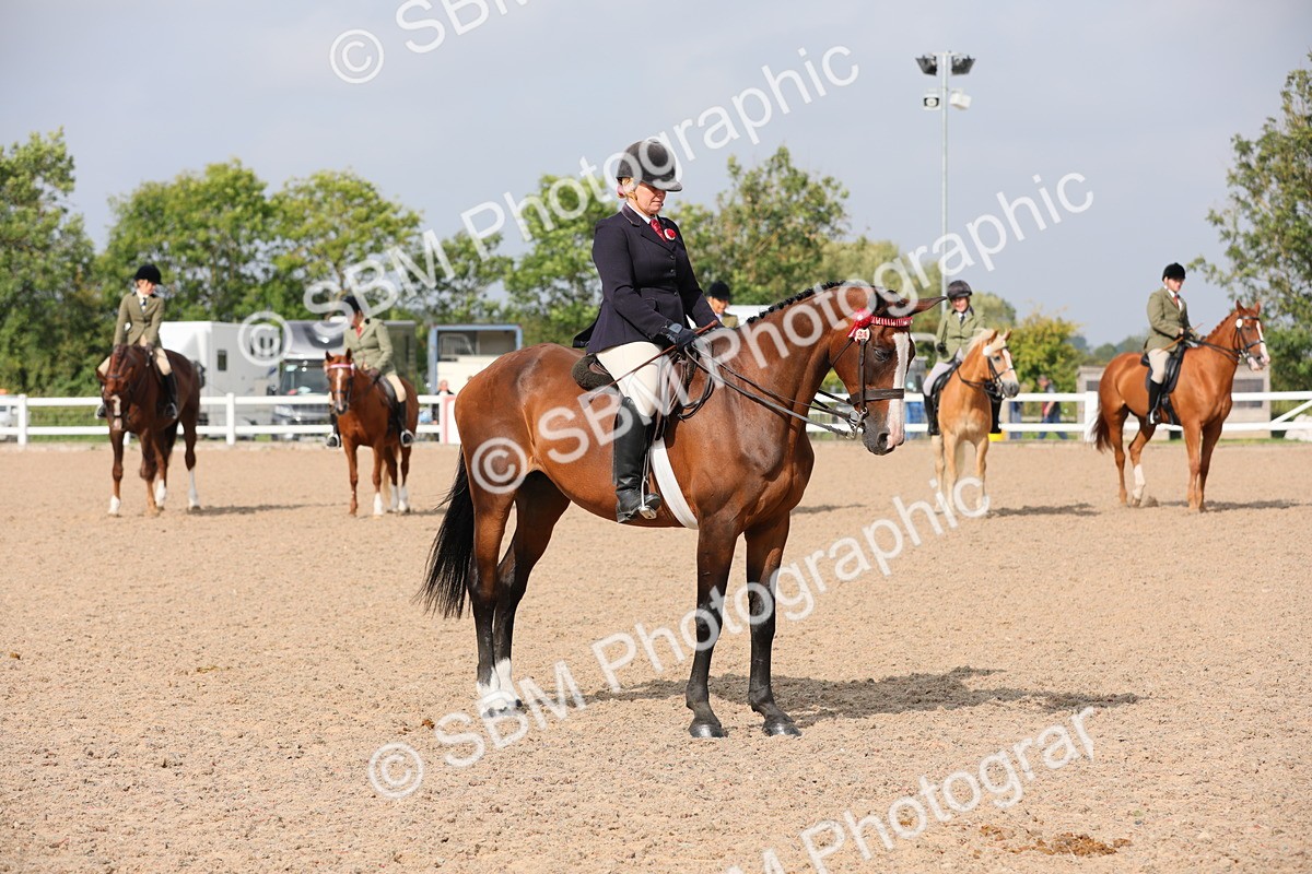 SBM_11456 - Class 305 Ridden Foreign Breeds- Pure Bred