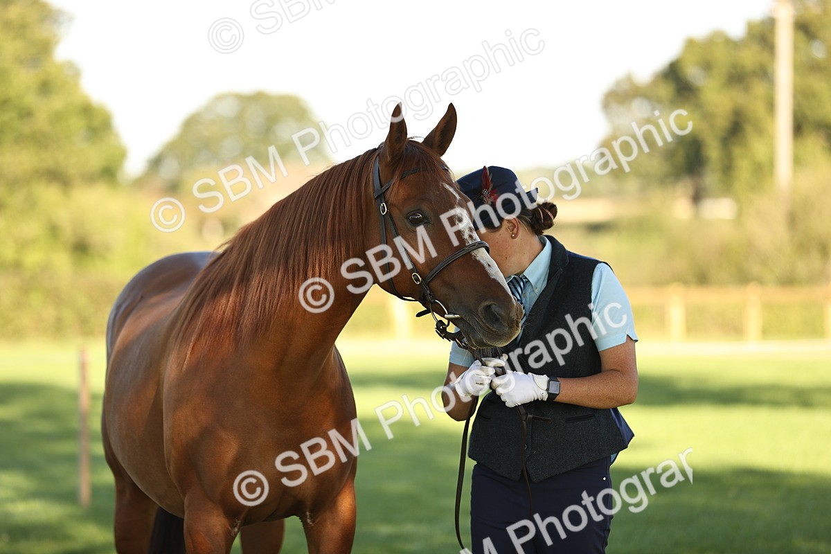 SBM_15742 - S1 - TSR in Hand Horse & Pony Showing