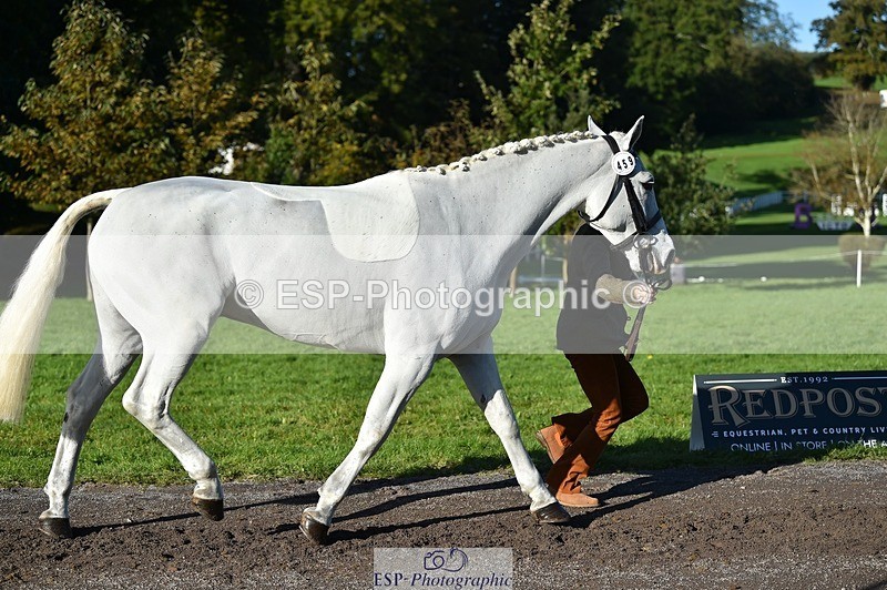 231022-103320-22556 - 459-CEIDE.HUMPHRY-Helen.Hickson-TrotUp+SJ