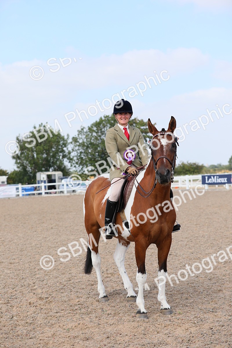 SBM_13548 - Class 308 Ridden Coloured Horse