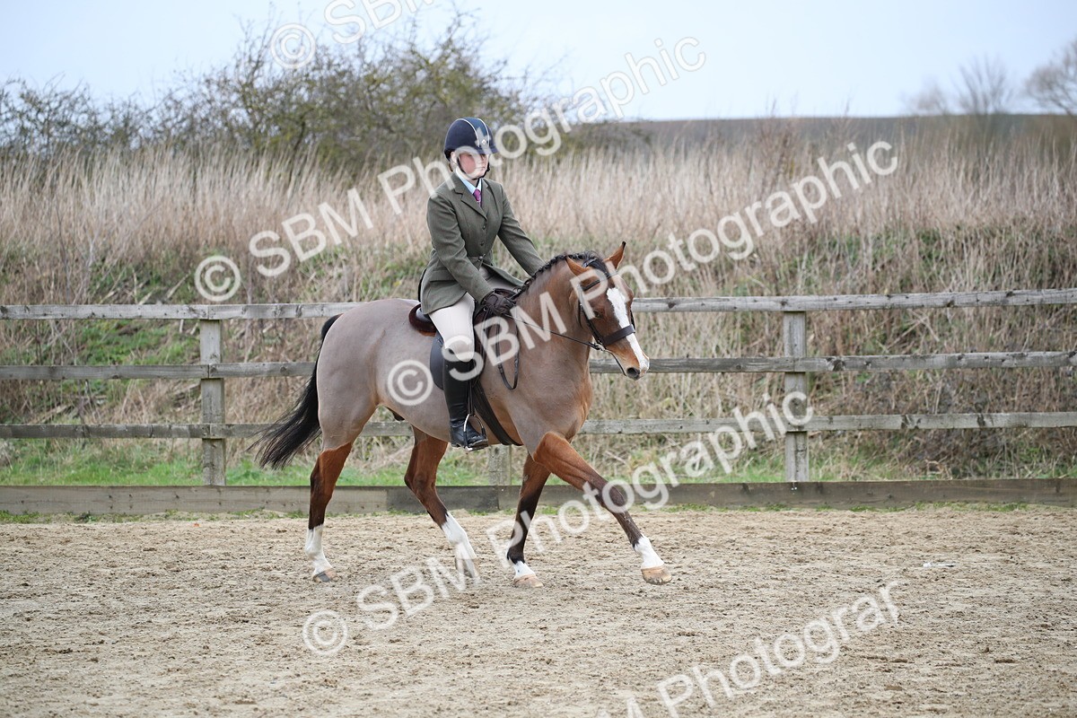 SBM_004743 - Class 5-9 - NPS In Hand-Show Hunter-Intermediate Ridden Inc Ridden Championship