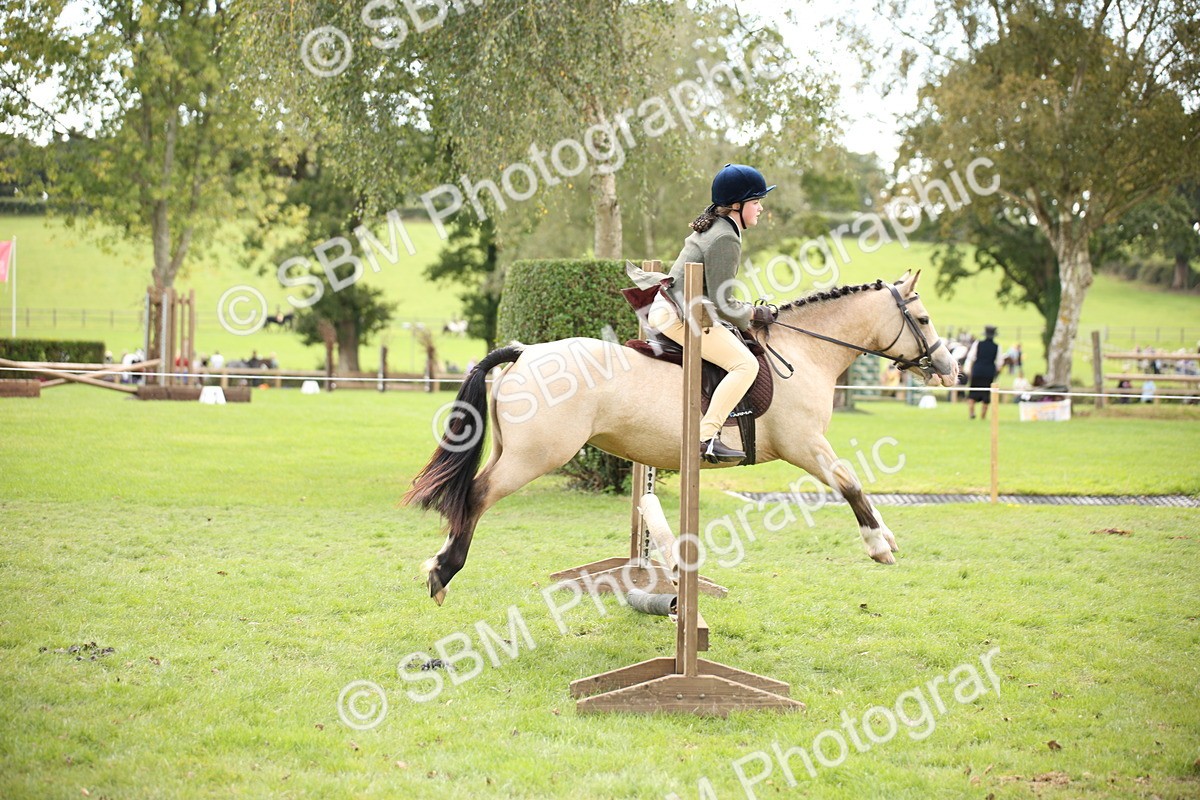 SBM_42305 - S13 - Pony Club Pony