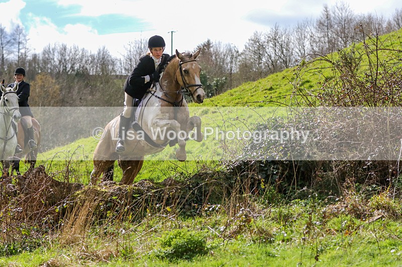 A38A3140-2 - Hils Ziar