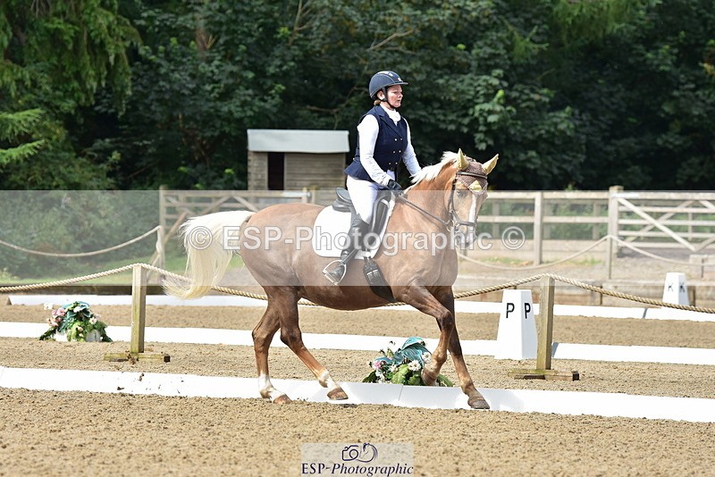 250719A-102150-03640 - 086-Alison.Nicoll-Moondust