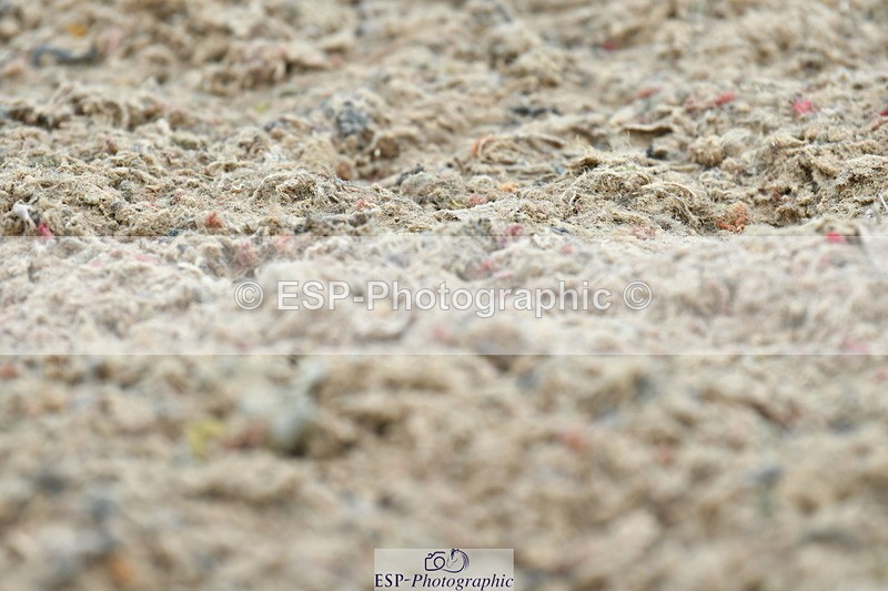 230708A-111525-02533 - Prelim 13