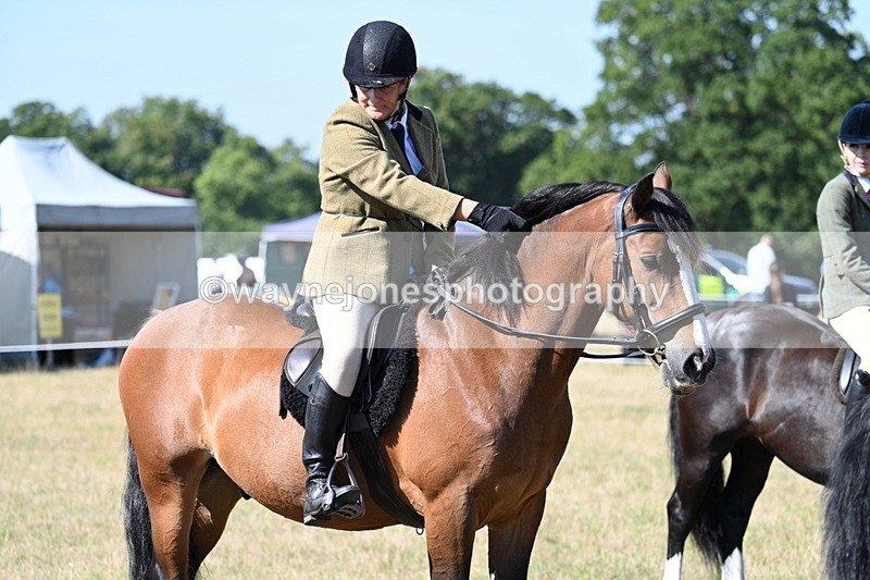 WJ7_3834 - Class 9 Mountain & Moorland Ridden