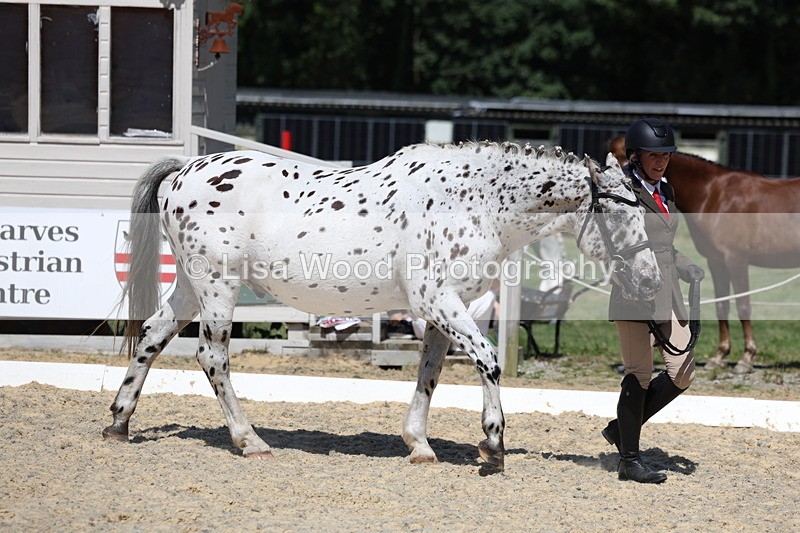 3E7A9378 - Class 29: Veteran In Hand