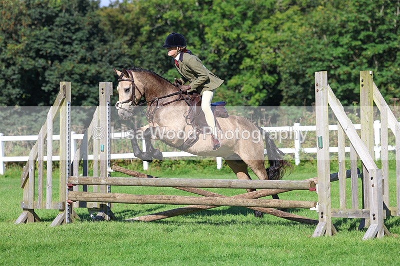 3E7A7733 - Class 2: Open Working Hunter pony