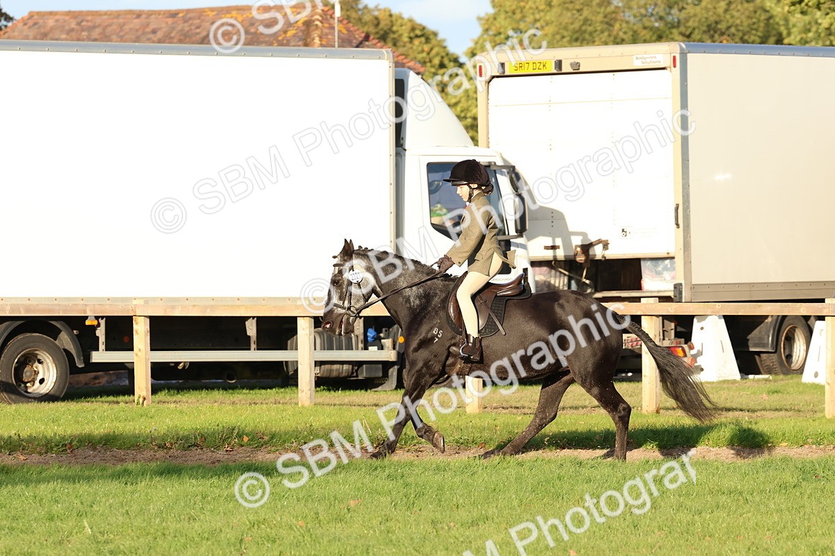 SBM_53073 - S29 - Mature Veteran Ridden