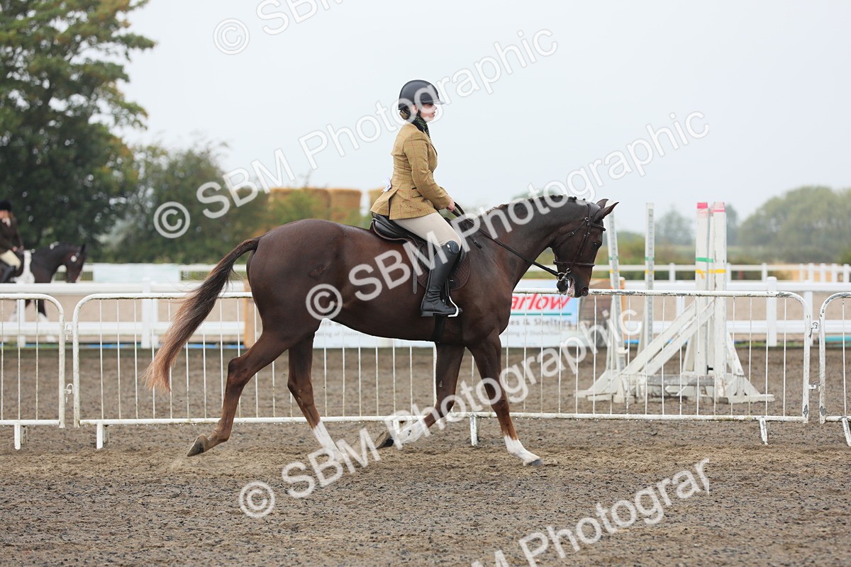 SBM_21238 - Class 805 - Ridden Veteran Horse