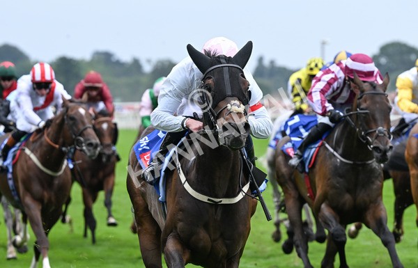 230825-128 Ethical Diamond - Race 4 3.35pm Sky Bet Ebor Handicap