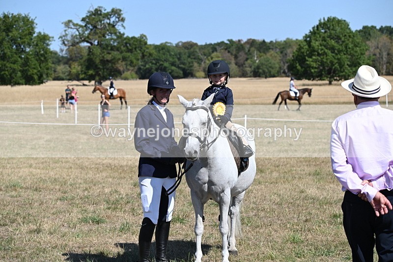 WJ6_8145 - Class 36 Lead Rein