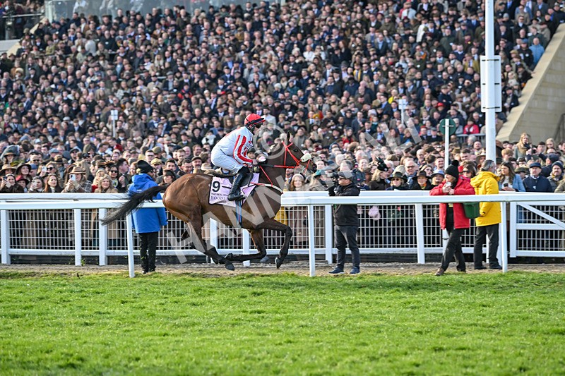 140325-The Real Whacker-WR-5434 - 14th March