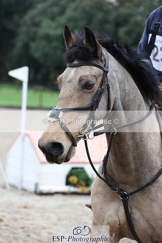 231118-092223-00327 - Cls 1 70cm