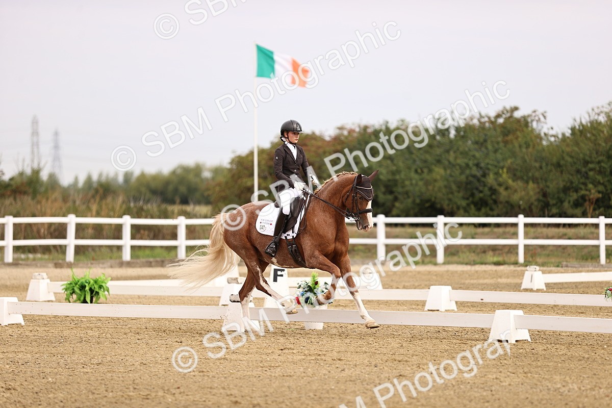 SBM_011534 - Class 1 - Medium 5