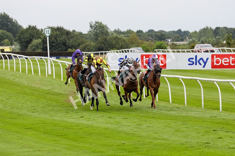 240724-Race 5-Furzig-3598 - Race 5