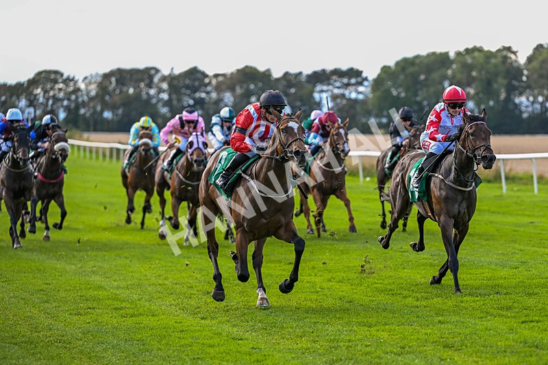 140926-Race 2-Bladey Lady-6811 - Race 2 2.51pm Patrick Hibbert-Foy Memorial Nursery Handicap