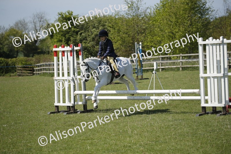 20250427-2302 - Class 13 - Novice Jumping 60cm