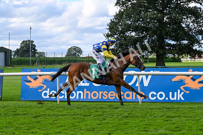 140926-Race 3-Majestic Jude-7091 - Race 3 3.21pm British Stallion Studs EBF Novice Stakes