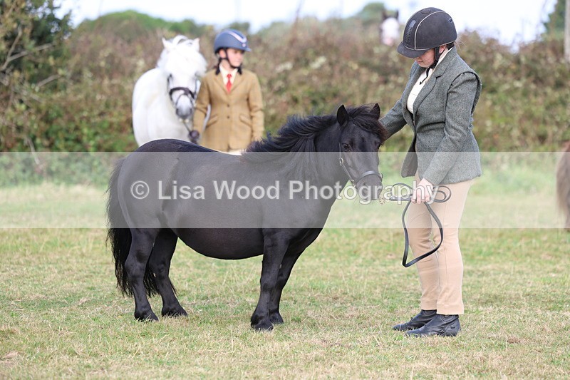 3E7A3285 - Class 12: M & M Small Breeds